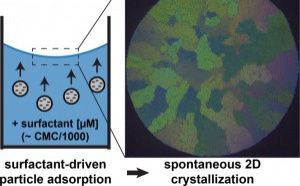 Our new paper 'Adsorption and Crystallization of Particles at the Air–Water Interface Induced by Minute Amounts of Surfactant' has just been accepted for publication in Langmuir!