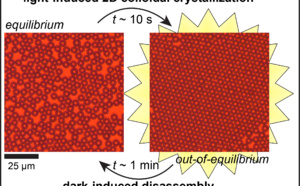 Our new paper "Photoswitchable dissipative two‐dimensional colloidal crystals" accepted for publication in Angewandte!