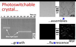 Our new paper "Photoswitchable fluorescent crystals obtained by the photoreversible co-assembly of a nucleobase and an azobenzene intercalator" accepted in JACS! Our new paper "Photoswitchable fluorescent crystals obtained by the photoreversible co-assembly of a nucleobase and an azobenzene intercalator" accepted in JACS!