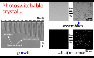 Our new paper "Photoswitchable fluorescent crystals obtained by the photoreversible co-assembly of a nucleobase and an azobenzene intercalator" accepted in JACS!