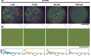 Our new paper "From-bulk crystallization of inorganic nanoparticles at the air/water interface: tunable organization and intense structural colors" published in Nanoscale!