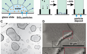 Our new paper "Liquid-liquid coffee-ring effect" accepted in Journal of Colloids and Interface Science!