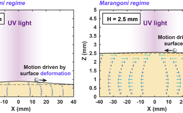 Liquid marbles move upstream and hit Angewandte!