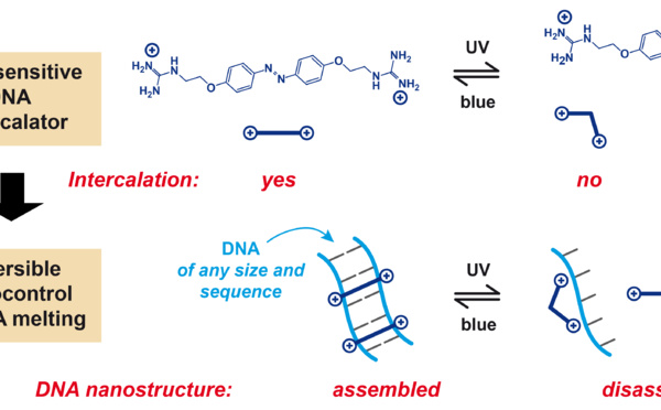 Photocontrol of DNA melting/hybridization at constant temperature accepted in Nano Letters!