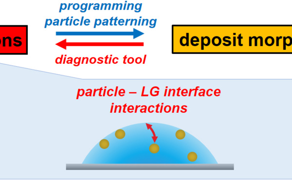 The Coffee-Ring Effect reviewed and accepted in ChemPhysChem!