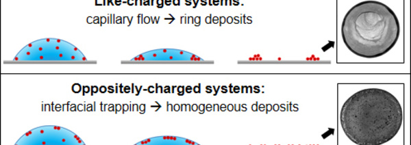 Our general method to control coffee rings with surfactants accepted in Langmuir!