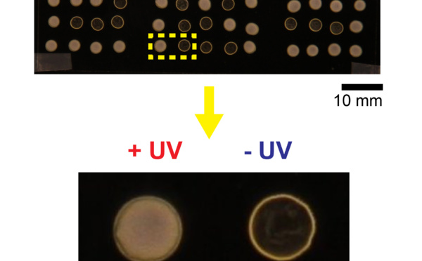 Coffee rings are now photocontrolled and just published in Angewandte!