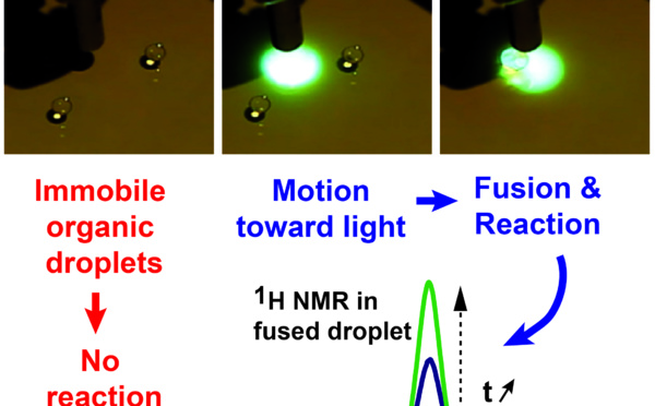 First LED-based digital optofluidics for organic synthesis accepted in Langmuir!