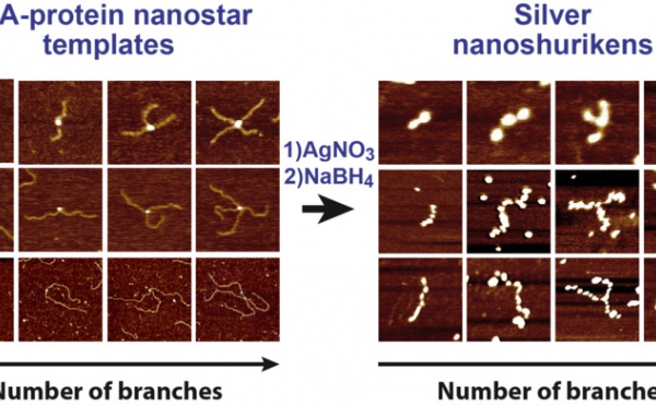 Silver Nanoshurikens just published in Soft Matter!