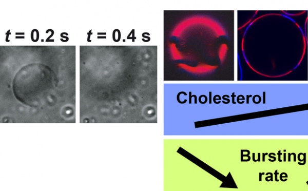 JACS-epted...UV-induced bursting of liposomes paper accepted in JACS!