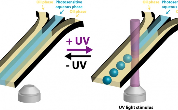 Microfluidic photo-actuation paper accepted in Lab on a Chip