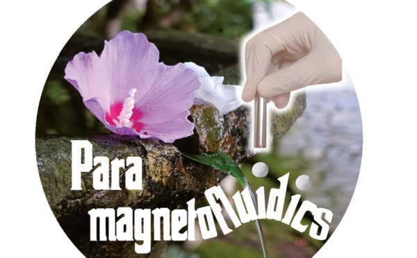 Paramagnetofluidics as Angewandte Cover!
