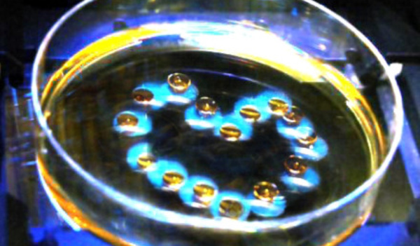 Metafluidics: new fluid actuation principles for better microfluidics