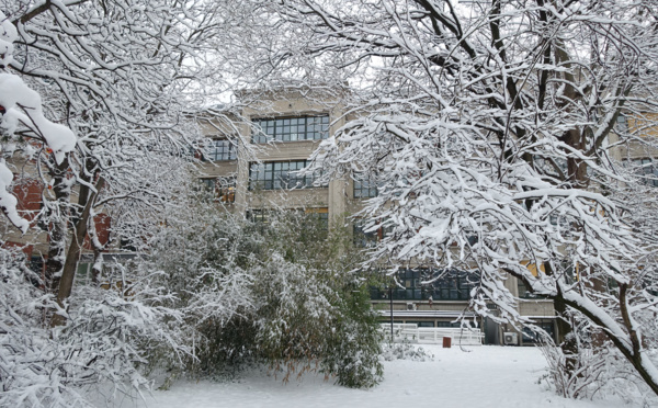 Snow on the lab and a seasonal background