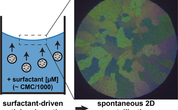 Our new paper 'Adsorption and Crystallization of Particles at the Air–Water Interface Induced by Minute Amounts of Surfactant' has just been accepted for publication in Langmuir!