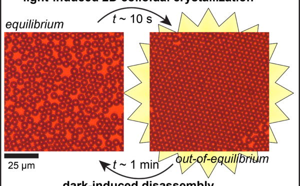 Our new paper "Photoswitchable dissipative two‐dimensional colloidal crystals" accepted for publication in Angewandte!