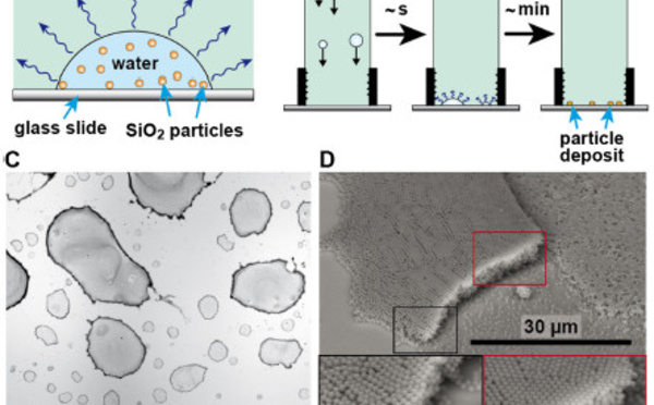 Our new paper "Liquid-liquid coffee-ring effect" accepted in Journal of Colloids and Interface Science!