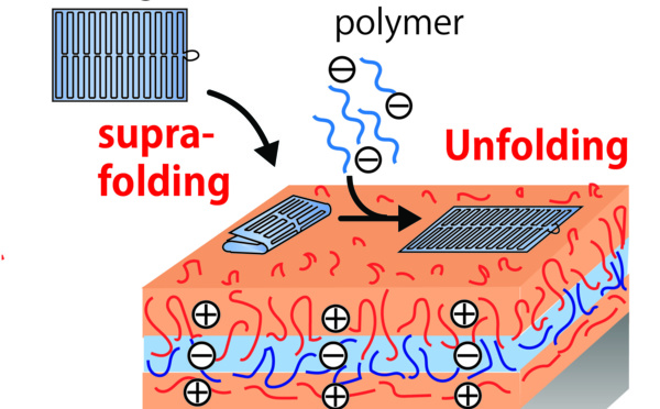 Our paper "Reversible supra-folding of user-programmed functional DNA nanostructures on fuzzy cationic substrates" has just been accepted in Angewandte Chemie.