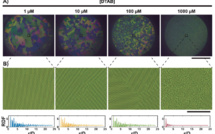 Our new paper "From-bulk crystallization of inorganic nanoparticles at the air/water interface: tunable organization and intense structural colors" published in Nanoscale!