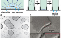 Our new paper "Liquid-liquid coffee-ring effect" accepted in Journal of Colloids and Interface Science!