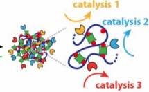 Our paper "Enzymatically Active DNA-Protein Nanogels with Tunable Cross-Linking Density" has just been accepted in Biomacromolecules